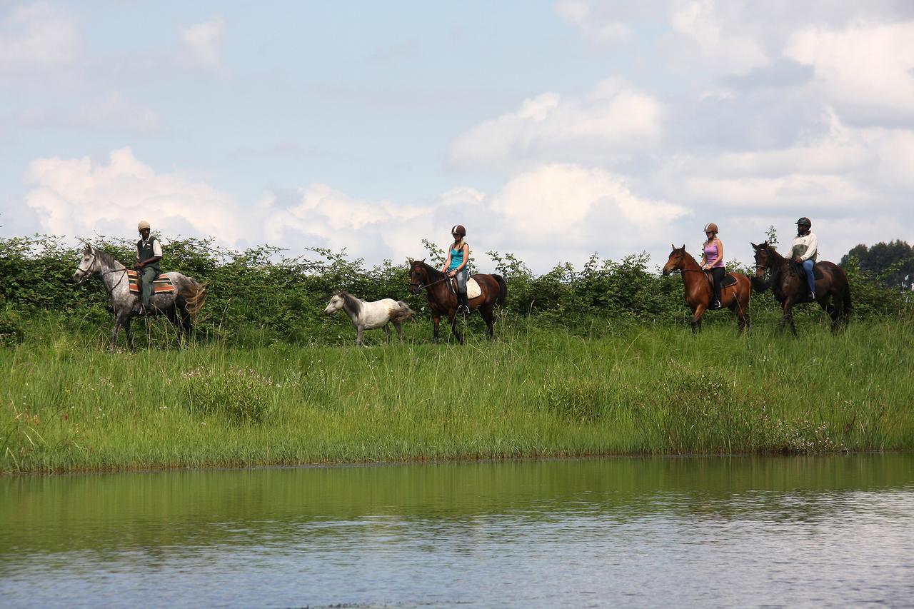 First Group Midlands Saddle And Trout Hotell Mooirivier Exteriör bild